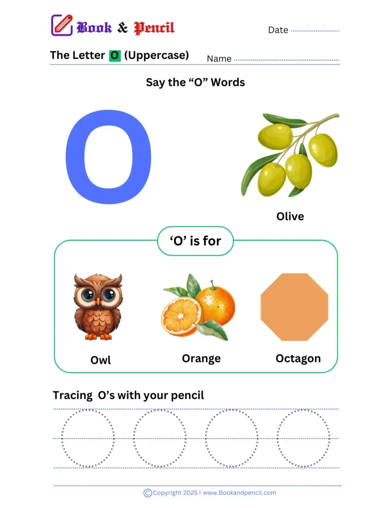 Learning the letter n worksheet for preschoolers with tracing, phonics, and letter recognition activities