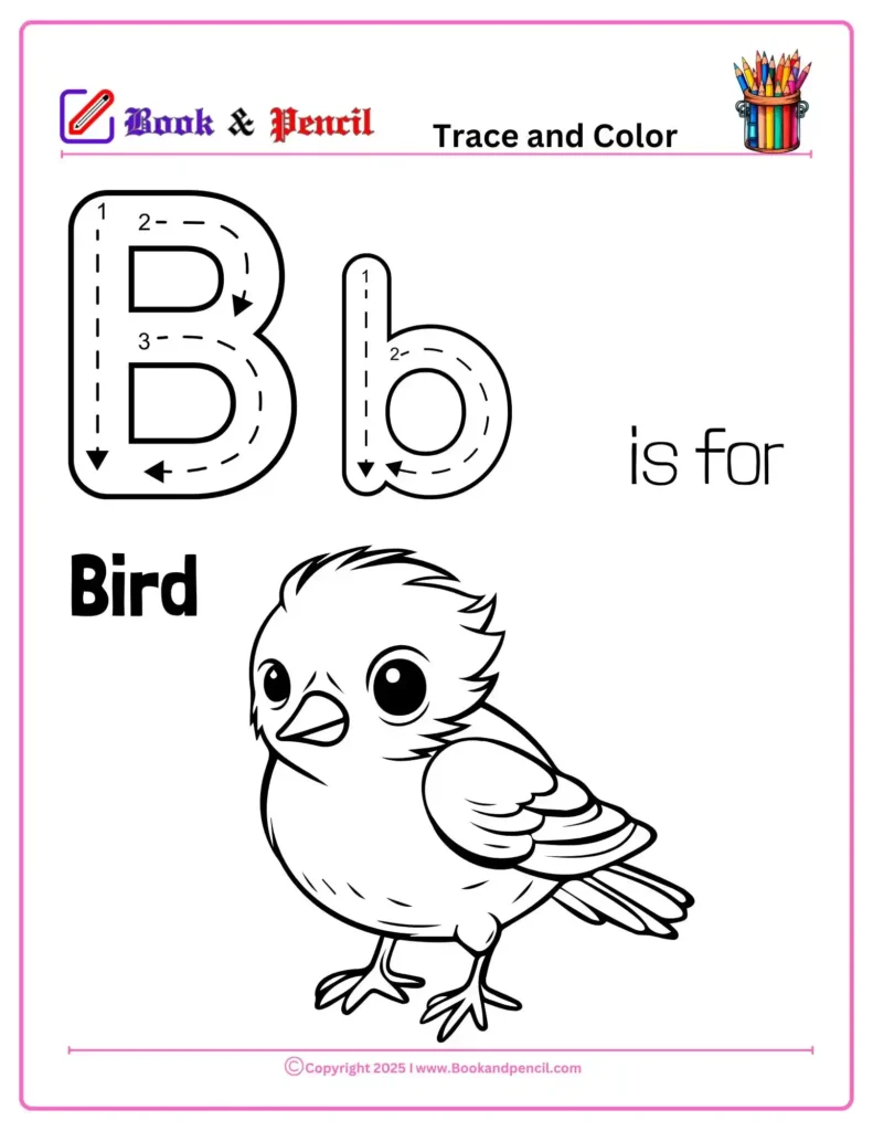 Letter B Coloring Worksheets for preschool featuring uppercase and lowercase B with a fun bird illustration. Great for handwriting and letter recognition practice.