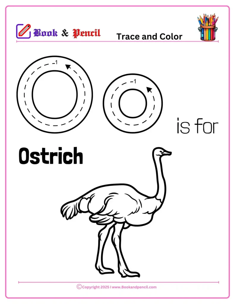 Letter O Coloring Worksheets for preschool with uppercase and lowercase O and a cute Ostrich image. Perfect for helping kids learn letter shapes and sounds through coloring.