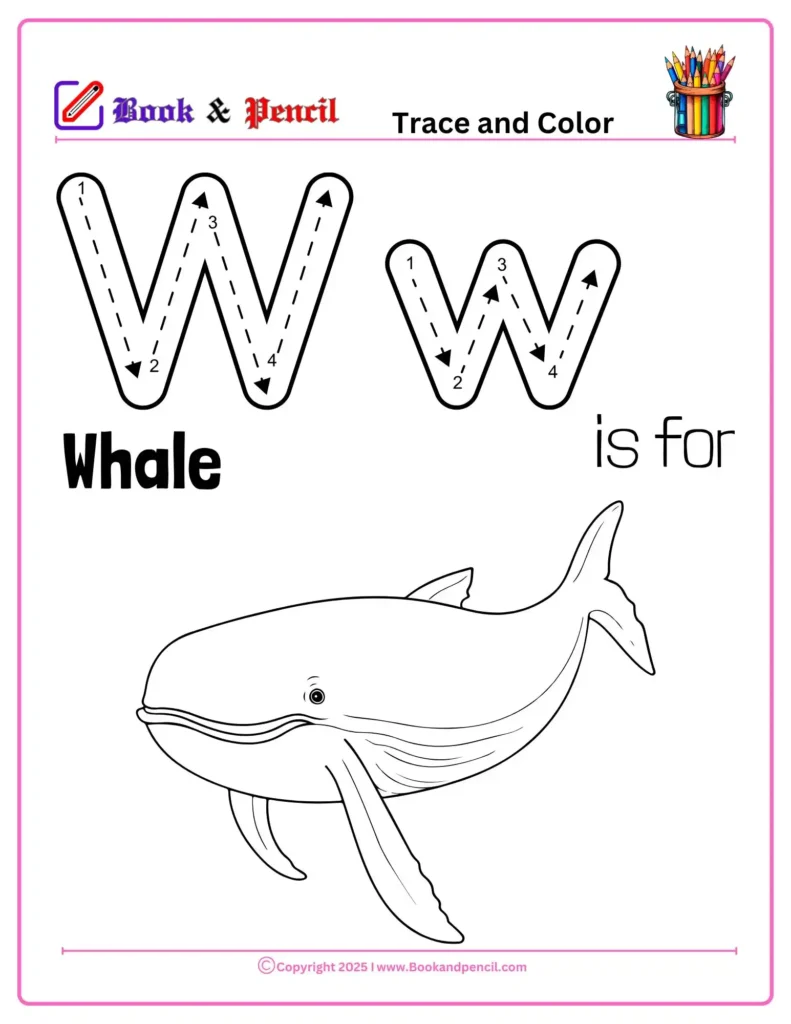 Letter W Coloring Worksheets for preschool with uppercase and lowercase W and a whale illustration. Helps children connect letter shapes to beginning sounds.