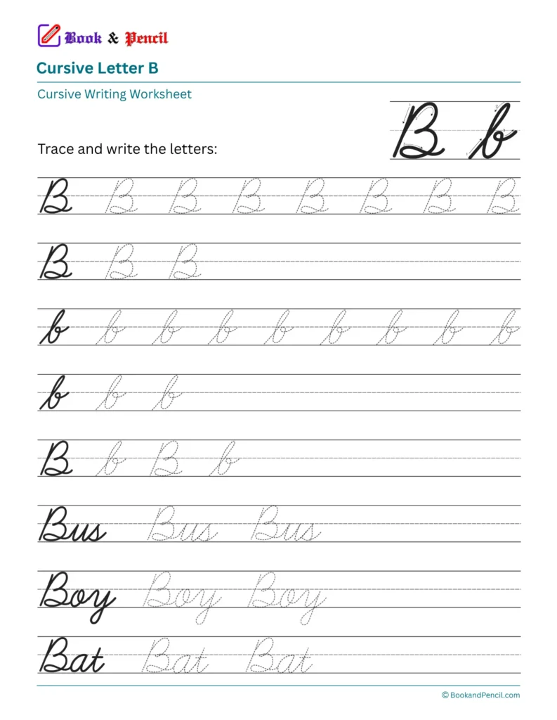 Free printable cursive letter B worksheet showing uppercase and lowercase tracing practice with words Bus, Boy, and Bat